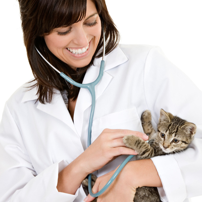Doctor with cat